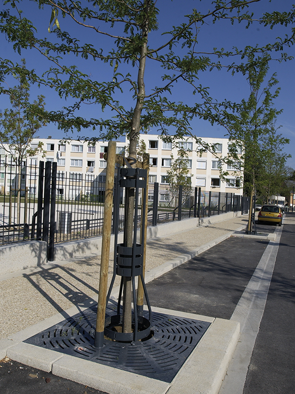 Tree guard - 5001 - Plessis-Trevise