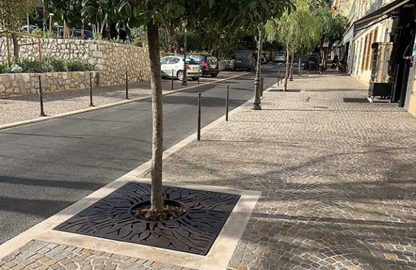 De belles grilles d'arbre racines à Beaulieu-sur-mer (06)