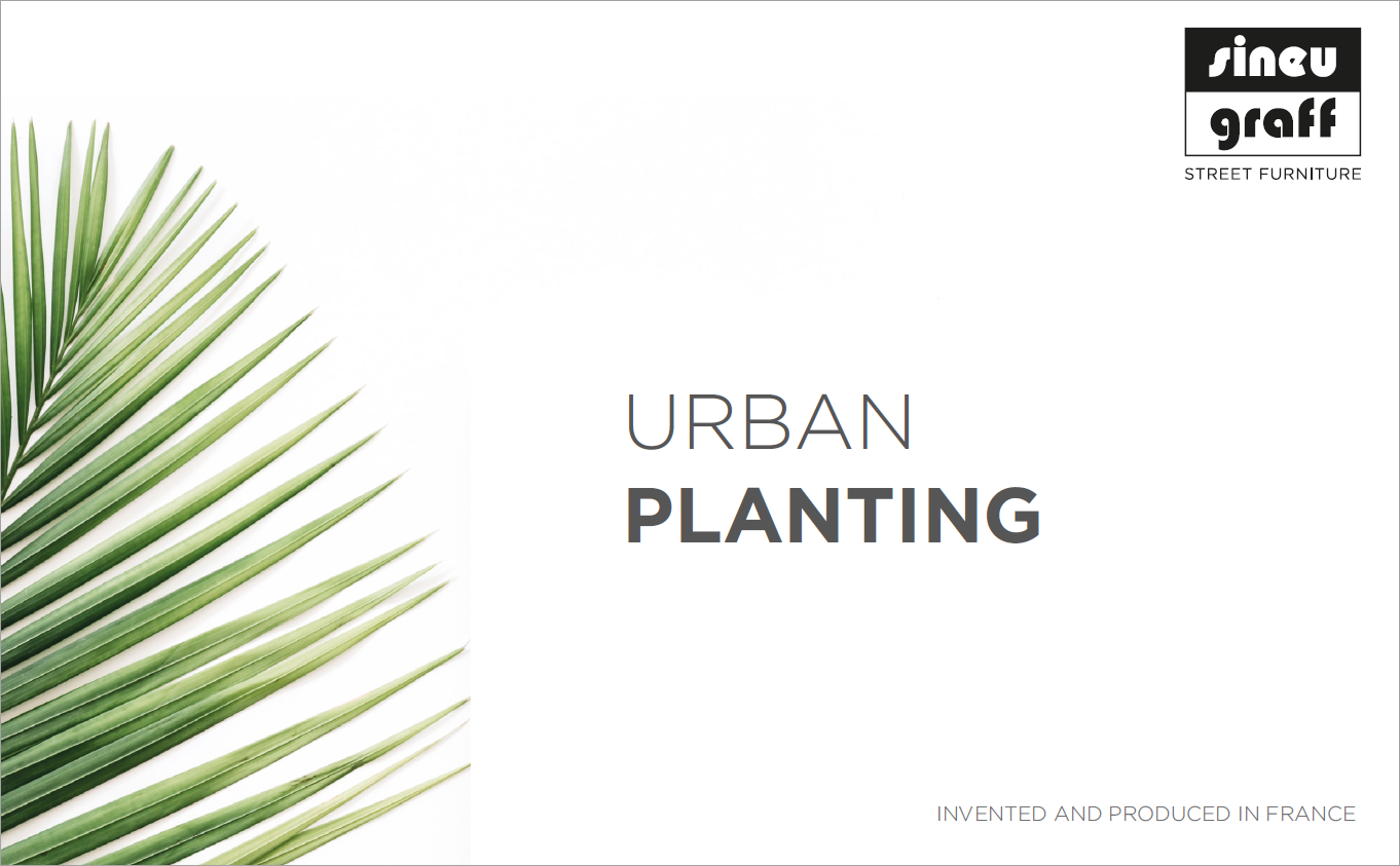 Urban planting